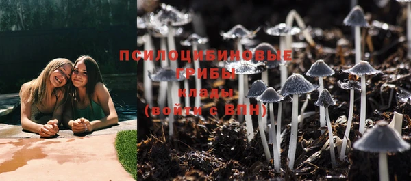 круглые Алзамай