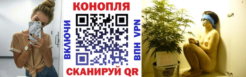 Бошки марихуана Ganja  мега зеркало  Артём  магазин продажи  